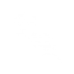 COVID-19 Vaccine Exemptions